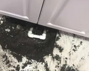 临澧查漏水哪家好